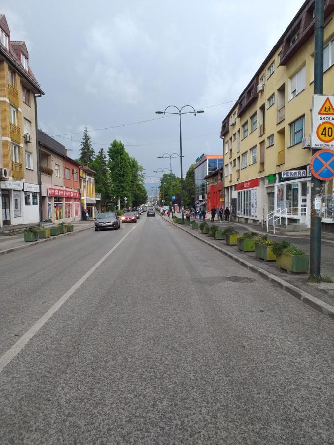 Trosoban Apartman Sarajevo, Ilidza Centar 外观 照片