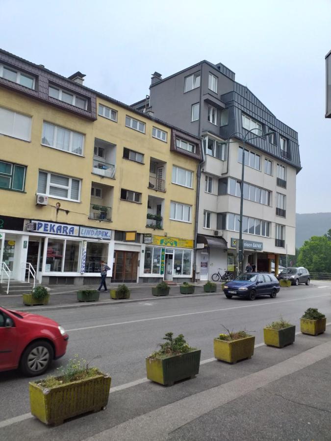 Trosoban Apartman Sarajevo, Ilidza Centar 外观 照片