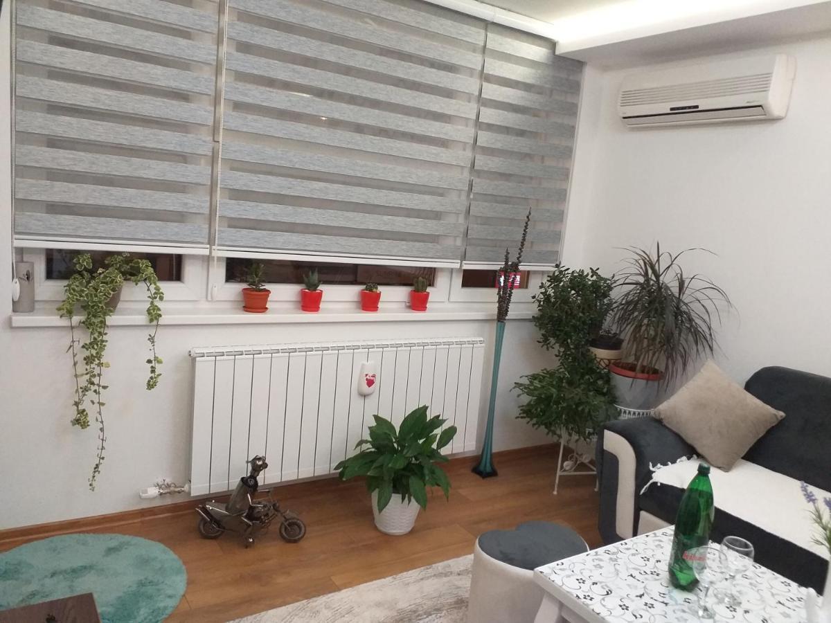Trosoban Apartman Sarajevo, Ilidza Centar 外观 照片