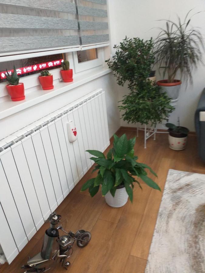 Trosoban Apartman Sarajevo, Ilidza Centar 外观 照片
