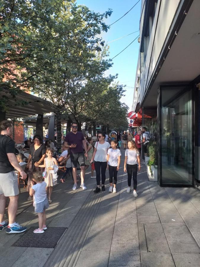 Trosoban Apartman Sarajevo, Ilidza Centar 外观 照片