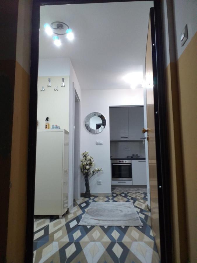Trosoban Apartman Sarajevo, Ilidza Centar 外观 照片