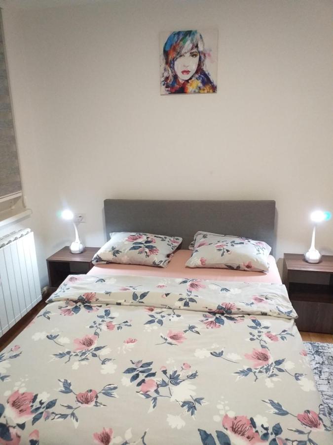 Trosoban Apartman Sarajevo, Ilidza Centar 外观 照片