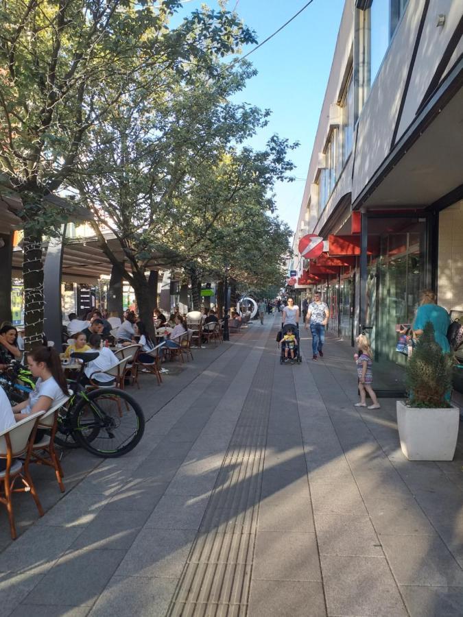 Trosoban Apartman Sarajevo, Ilidza Centar 外观 照片