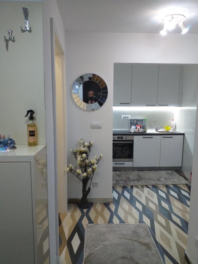 Trosoban Apartman Sarajevo, Ilidza Centar 外观 照片